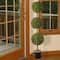 4ft. Potted Boxwood Three-Ball Topiary